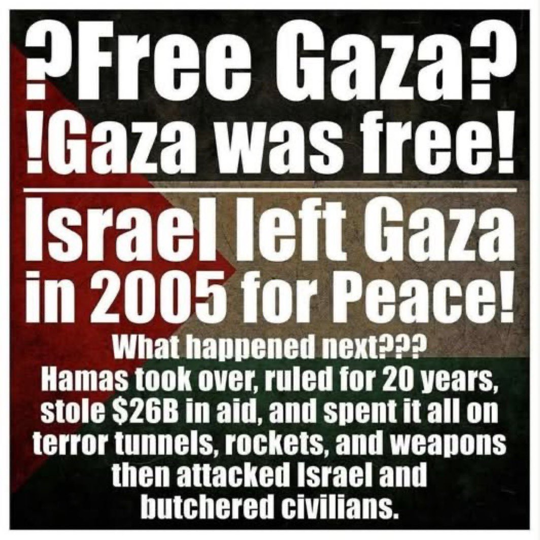 Liza Rosen (@lizarosen0000) on Twitter photo 