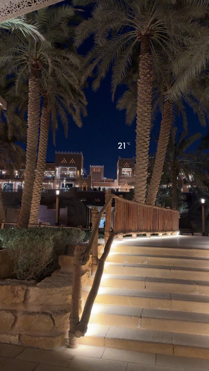 𓃠🪽 tweet media