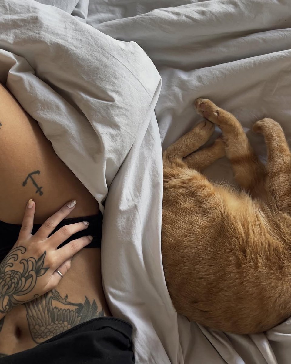 itz_mals_'s tweet photo. evening cuddles with my best guy https://t.co/uXQu3QaiIB