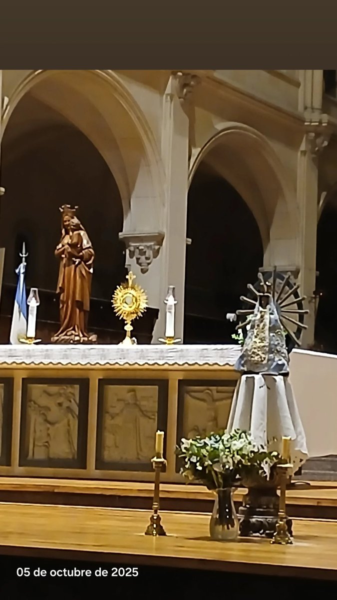 Lorena Laprebende tweet media