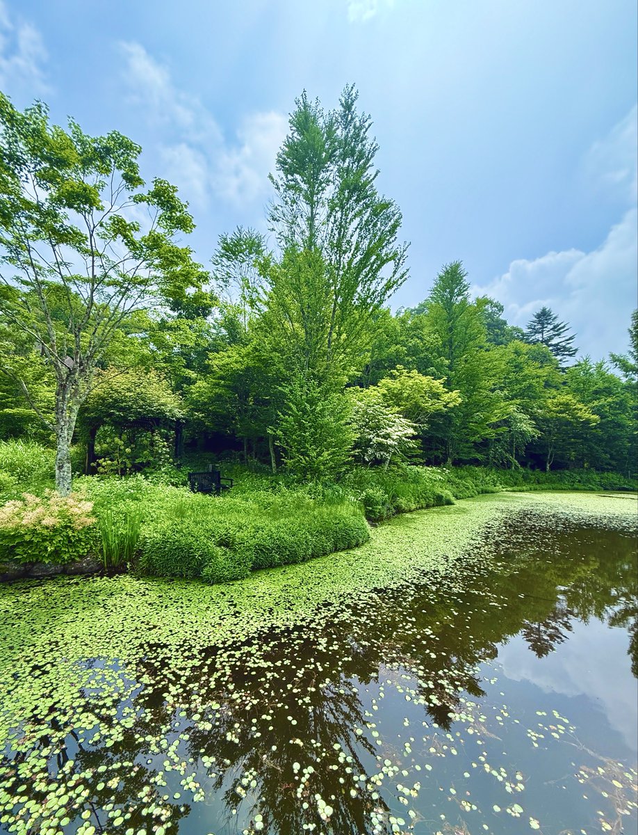 polarbearrabbit's tweet photo. 軽井沢の湖
朝の湖は緑に囲まれて静かでした。^-^*
#photo_travelers #photo_shorttrip #tokyocameraclub #写真 #summer #life_with_camera #Japan #elegant
#beautiful #湖 #lake #nature #自然 #photograph #長野県 #北佐久郡 #軽井沢 #green #tree #涼しい #cool #National #Geographic https://t.co/eDIH0i34KR