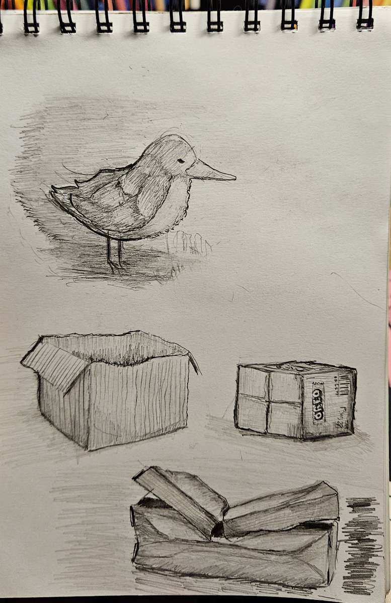 Gearss_'s tweet photo. Duduls
 Boxes and a https://t.co/j954QkfsPl
#sketches https://t.co/FvBJG0cVmX