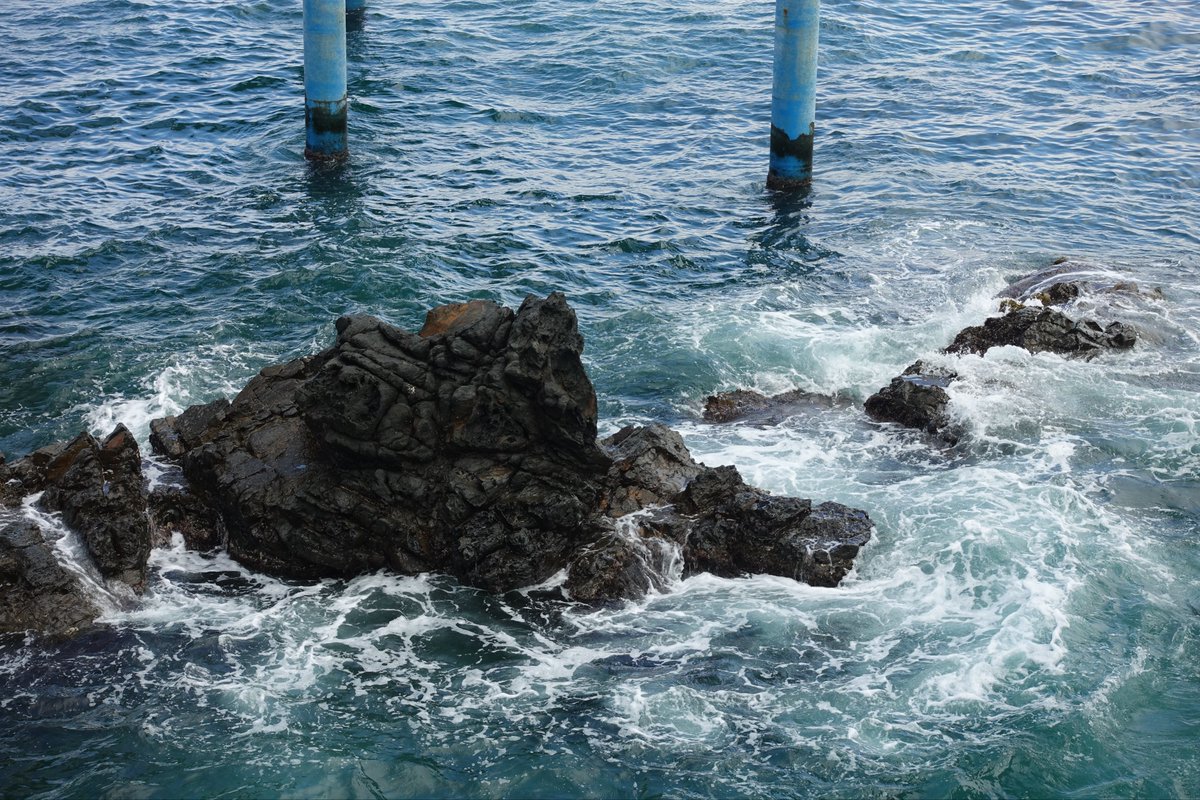 다들 행복한 추석 보내시고 맛난거 많이 드세요🤤🩵