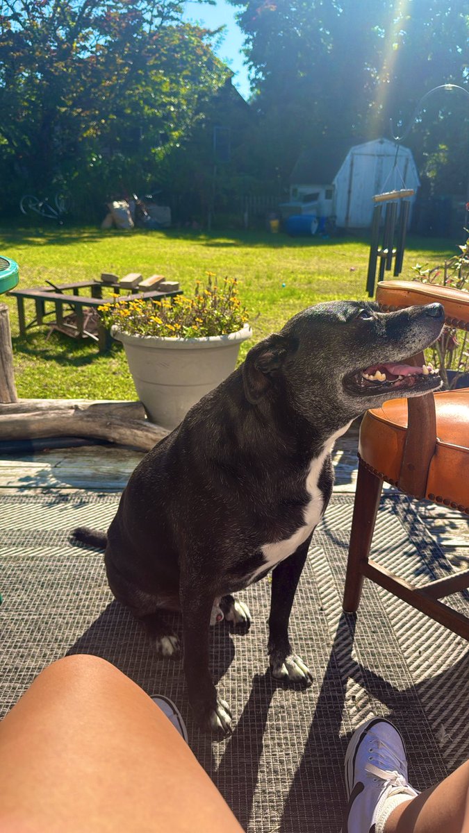 evil latina 🇵🇷 (@sellypaige) / Posts / X, image size:675x1200