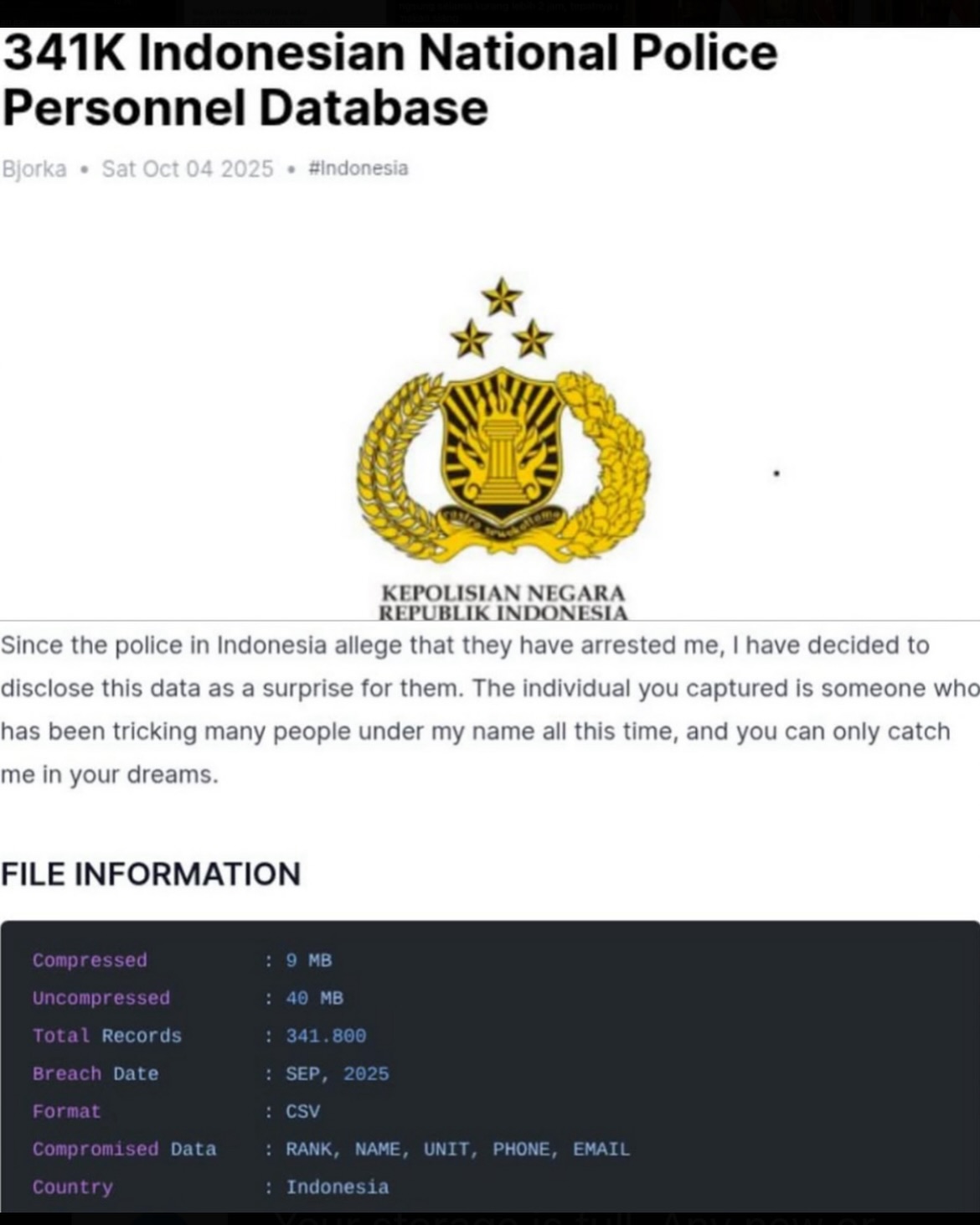 HACKER BJORKA DITANGKAP: Viral gebrakan Hacker Bjorka setelah disebut telah ditangkap polisi. Salah satunya adalah membocorkan data polisi sebanyak ratusan ribu.