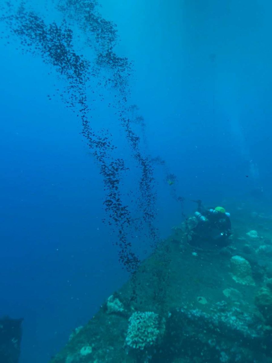 MichaelFieldNZ's tweet photo. An wartime oil leak disaster unfolding now in Chuuk in Micronesia is likely to be a rehearsal for what comes to Hauraki Gulf when the liner Niagara lets go its fuel oil
https://t.co/G2Zmpz8HOD https://t.co/H3KoY3pwHf