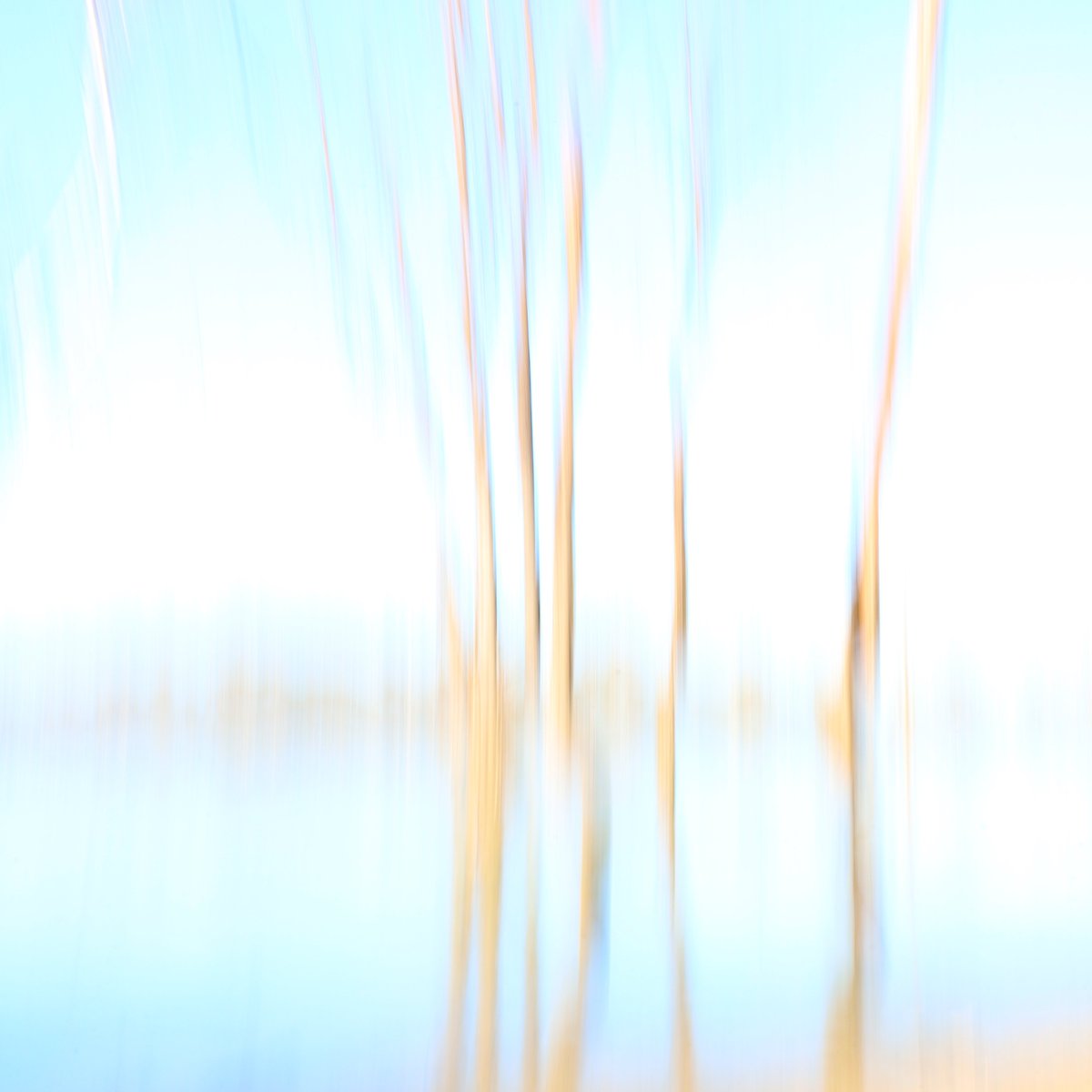 Trees in the lake.
I'm not sure how you all will feel about this ... but sometimes I like to experiment.
This is a long exposure with vertical panning. Hand-held.
I think it has a painterly feel.