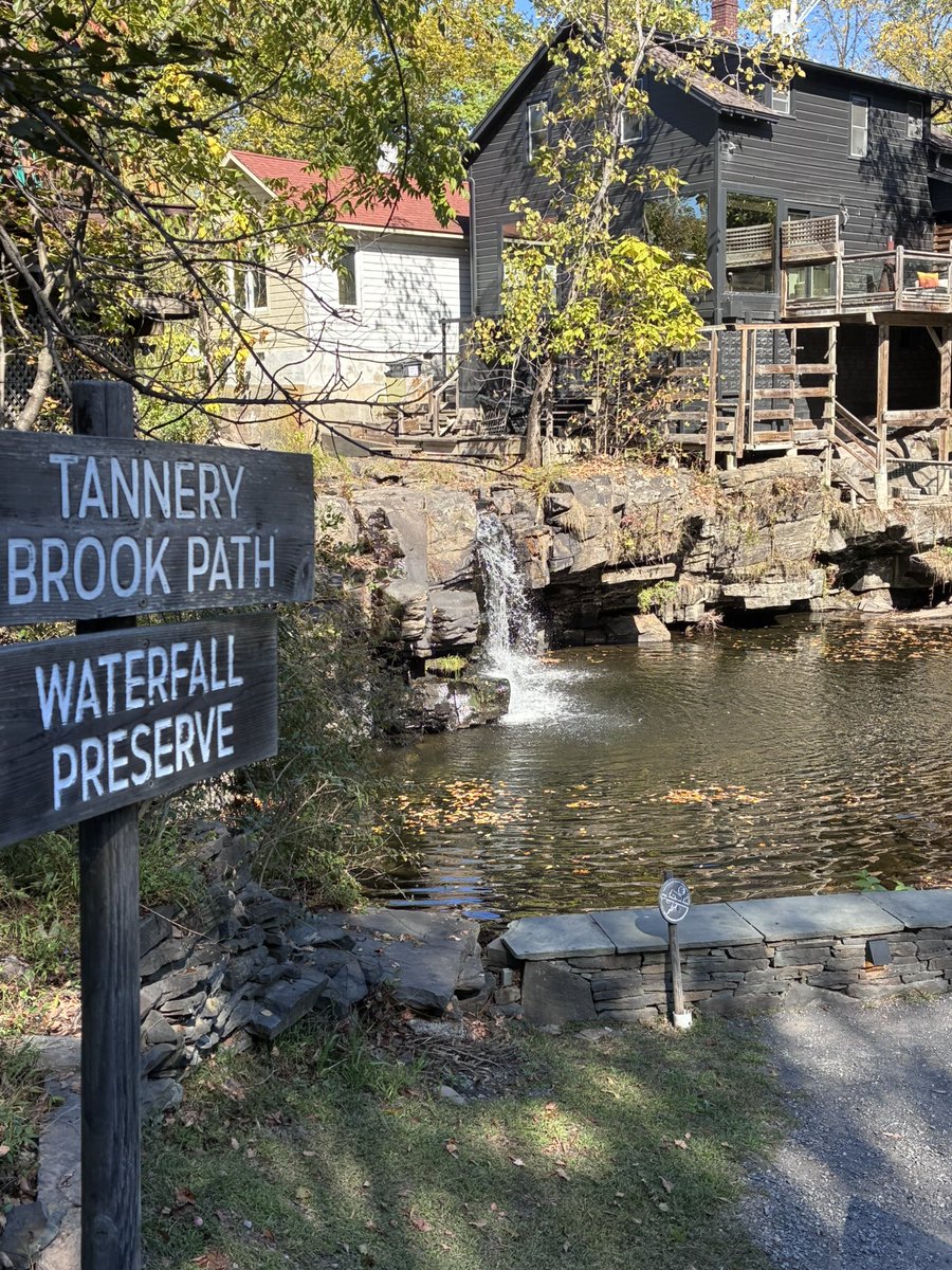 Renee Murphy tweet media