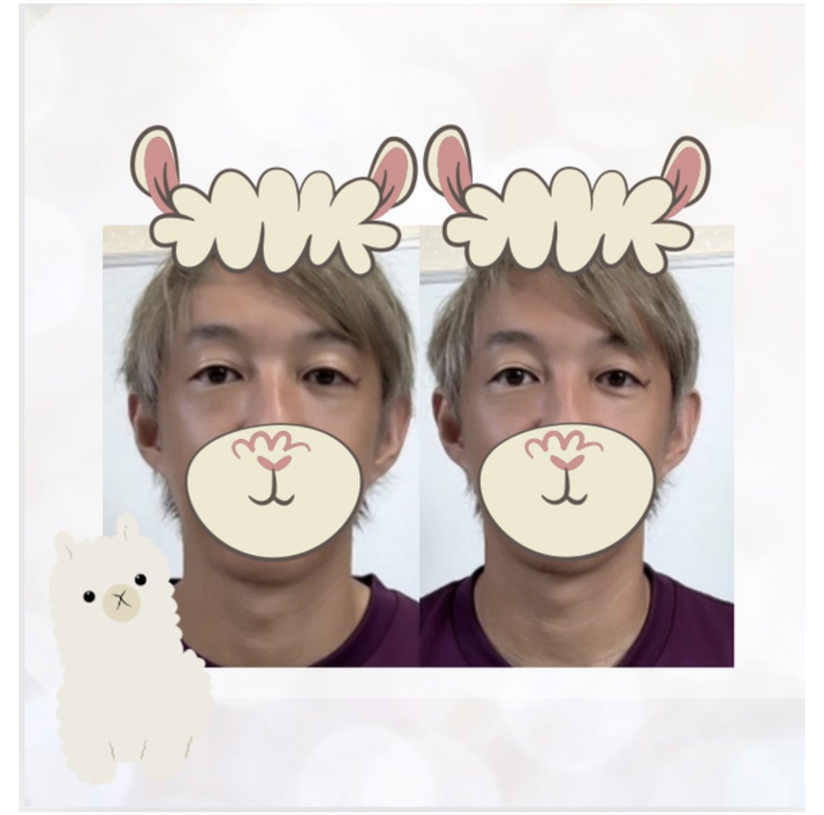 eito8mission's tweet photo. 僕がアルパカ好きってメルマガで書いてたり、こないだ縁あった方の小顔のモニター募集してたから参加してみたのね。
そしたらこんな感じになったよ。変化わかるかな？アルパカつけてくれたよー。🦙 https://t.co/xn6AvNo8Xf