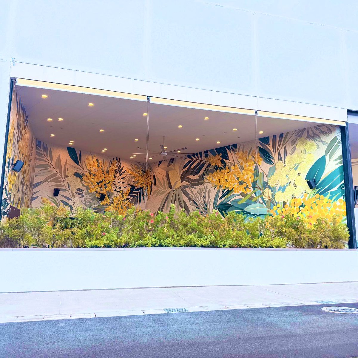 パビリオンの裏側の関係者用通路。
もちろん基本はバックヤード機能として無骨なんだけど、オーストラリア館は裏側もとても素敵✨

関係者に向けてデザインされたこの特別なスペースに毎朝癒されてました💐