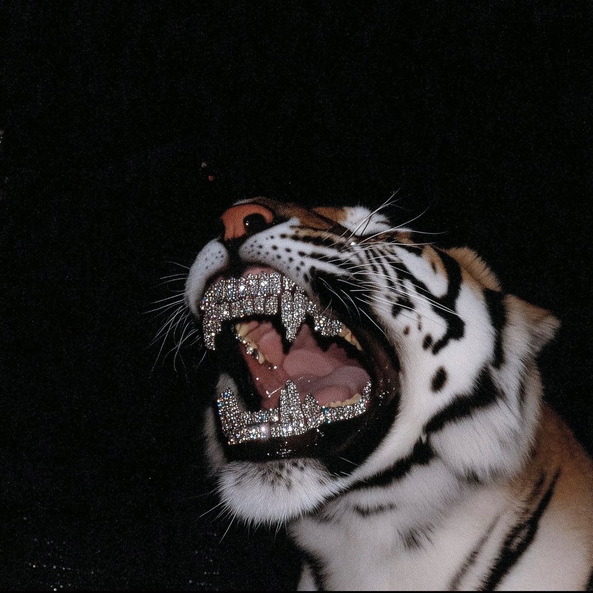 FuckAlllThat's tweet image. #StackSeason