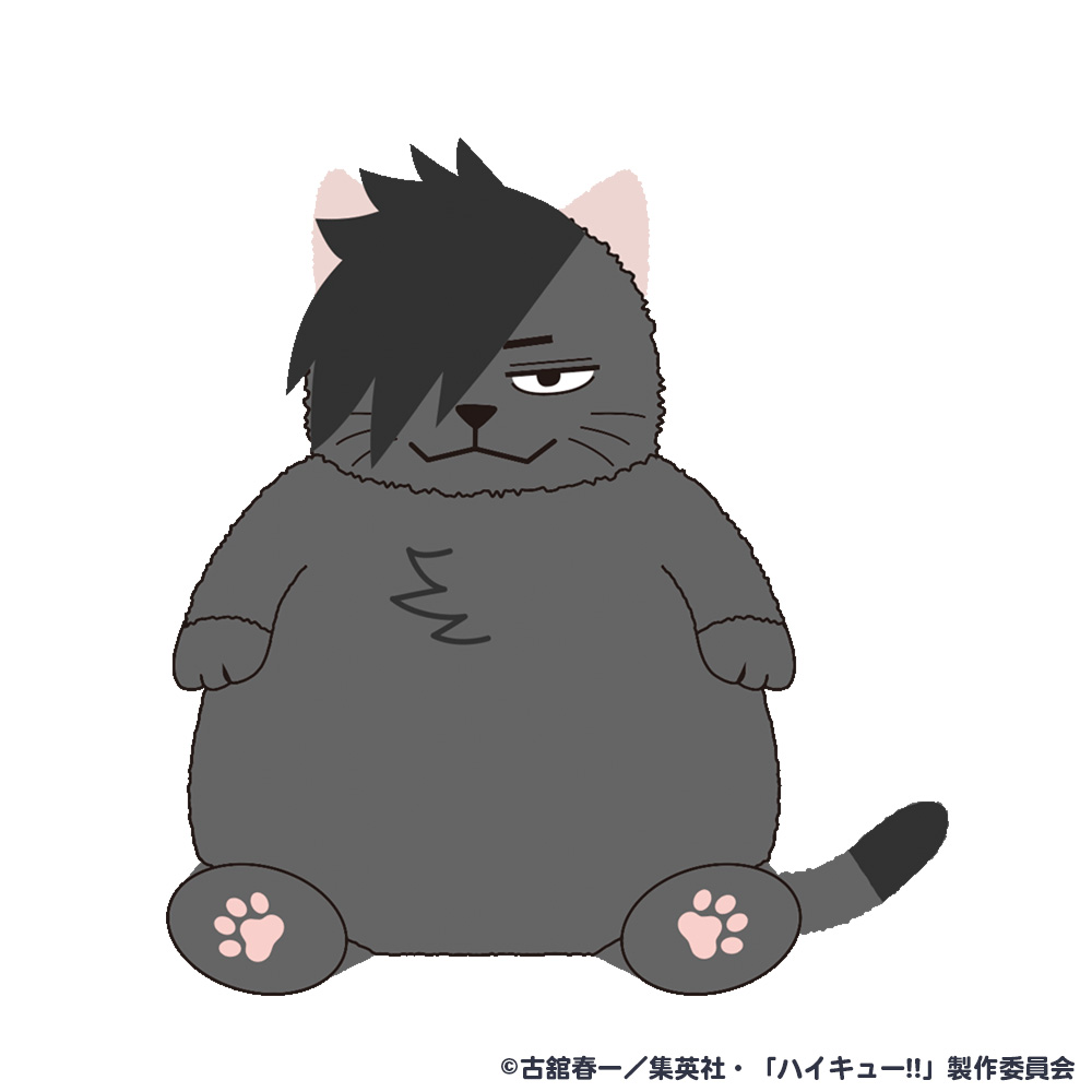 ハイキュー】 ˙⁎⋆━━━━━━ 