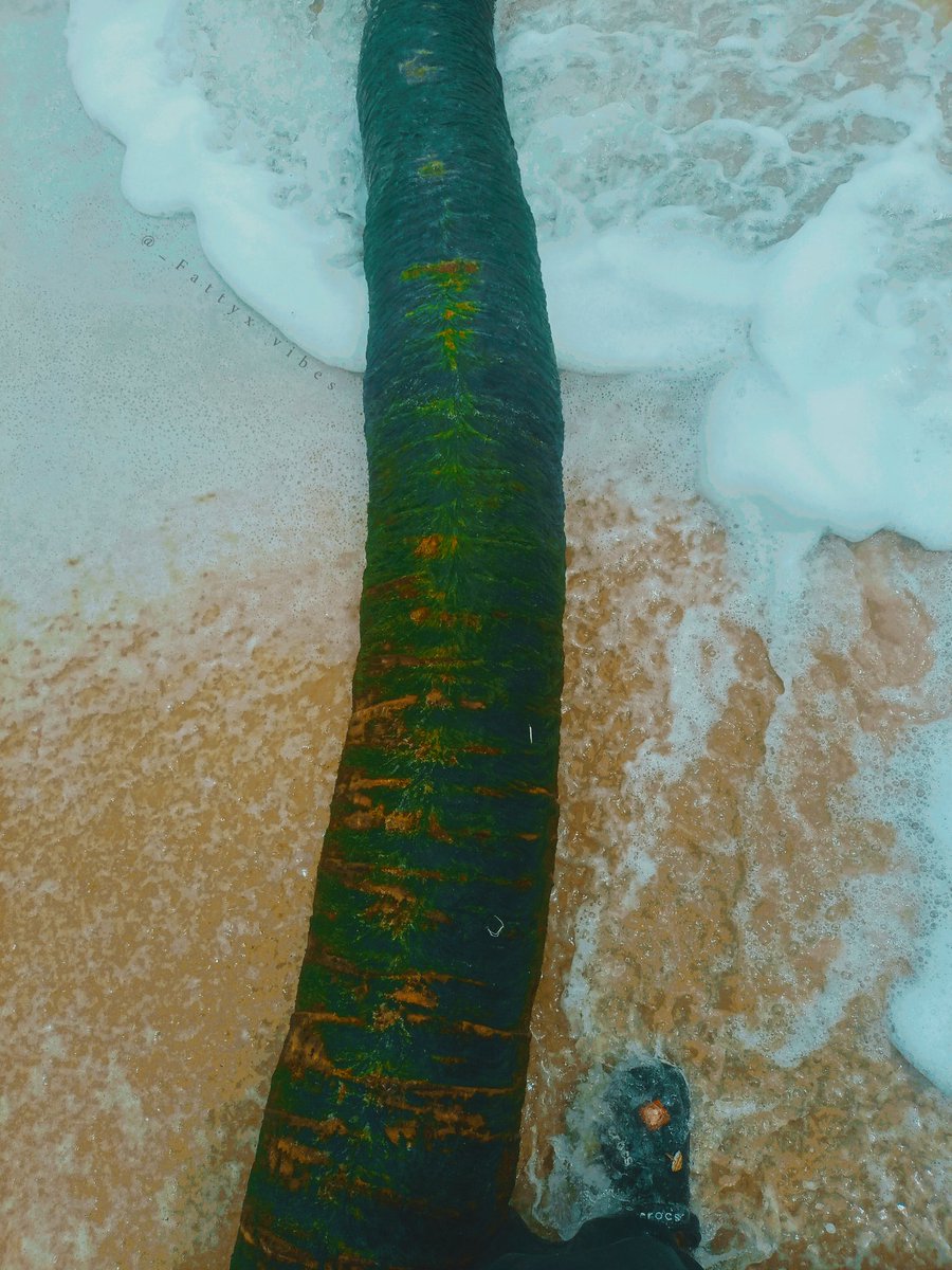 Fattyx_vibes's tweet image. Euphoria seaside ✨ 

#Wallpapers #Wallpapers4k #Wallpaper4k #wallpaper