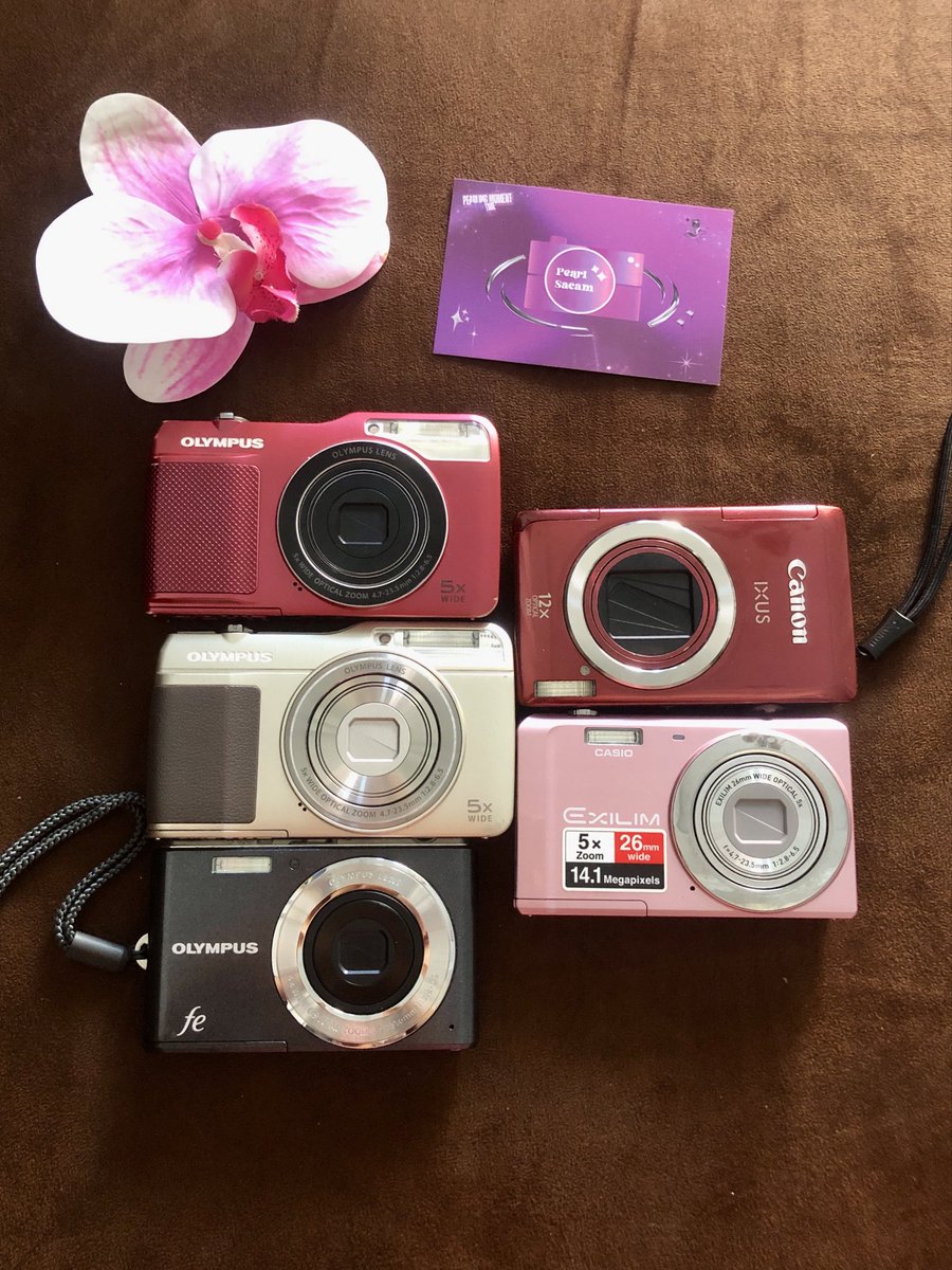 Yara wts digicam🌸📸 tweet media