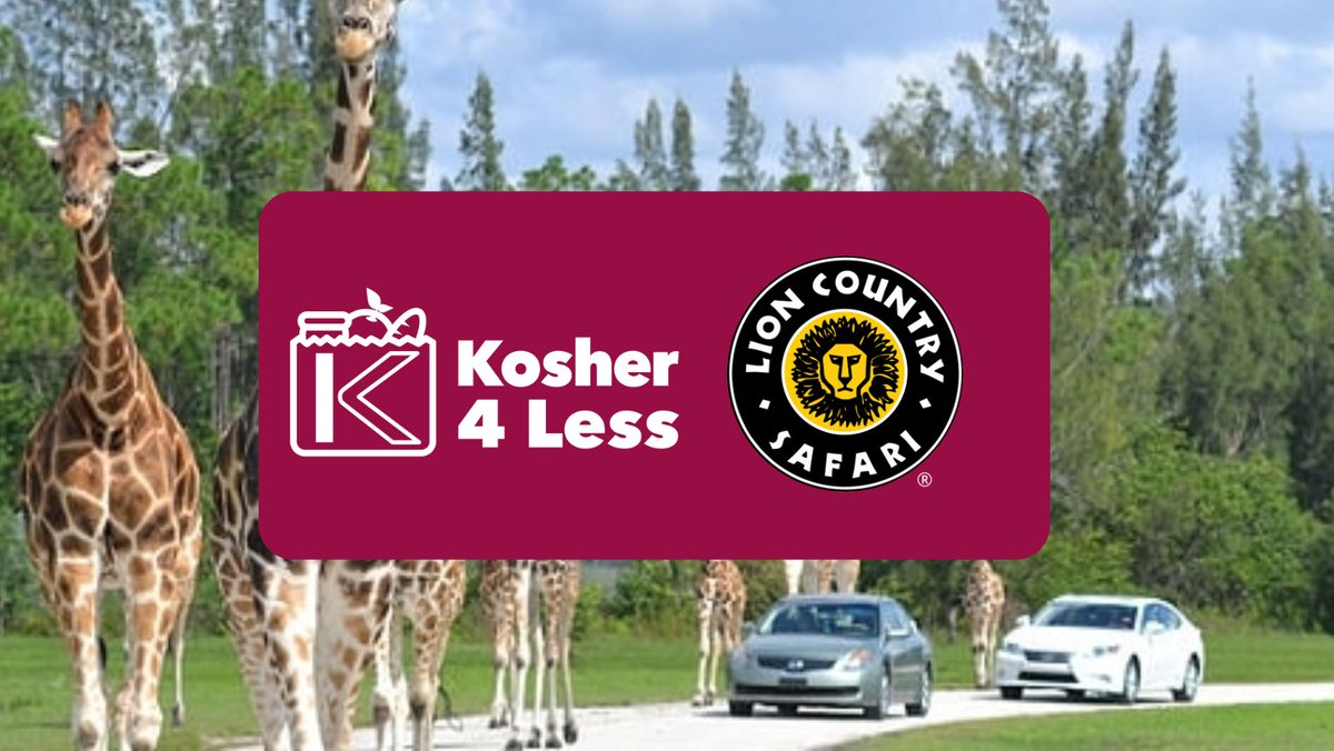 Kosher4Less's tweet image. 🦁 Post-Sukkot Adventure with Kosher 4 Less! 🐒

W are  organizing a special family trip to Lion Country Safari — a fun, affordable day out to celebrate community, connection, and the joy of giving back.
📍 Loxahatchee, FL 
 📅 10/16
 ⏰ Check-in: 10AMAM
tinyurl.com/K4LRH2025
