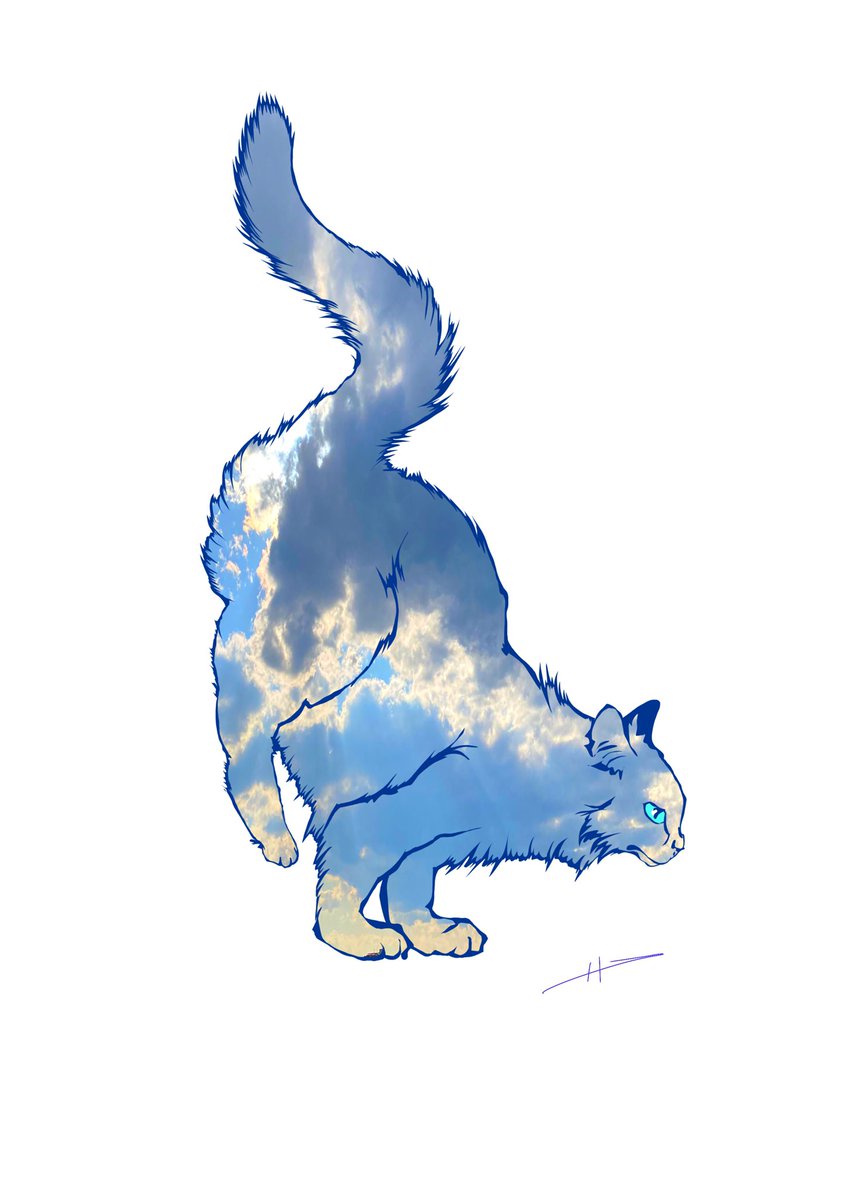 koasa_koasa's tweet photo. おはようございます☀
今週もよろしくお願いしますっ！

【そらねこ】　※タップ推奨
猫のイラストに
空の写真をはめ込んでます。
猫も空も同じ表情がなく美しい✨

#イラスト #そらねこ #猫 https://t.co/1PEQKMTTXF