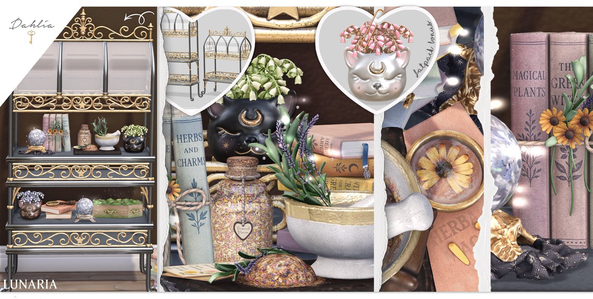 Dahlia - Lunaria @ Satan inc.