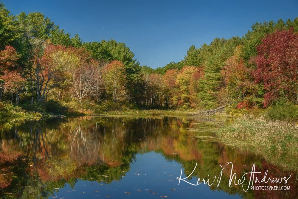 PhotosByKeri's tweet image. Mill Pond View 10/05/25
#2025Project52 #Week40

Since it's #Autumn, I’m on the hunt for some #undiscovered #beauty. Even with the drought, this pond still had some water and reflection of some early color, and I loved it! Loving that variety!
photosbykeri.com/fine-art/e4366…