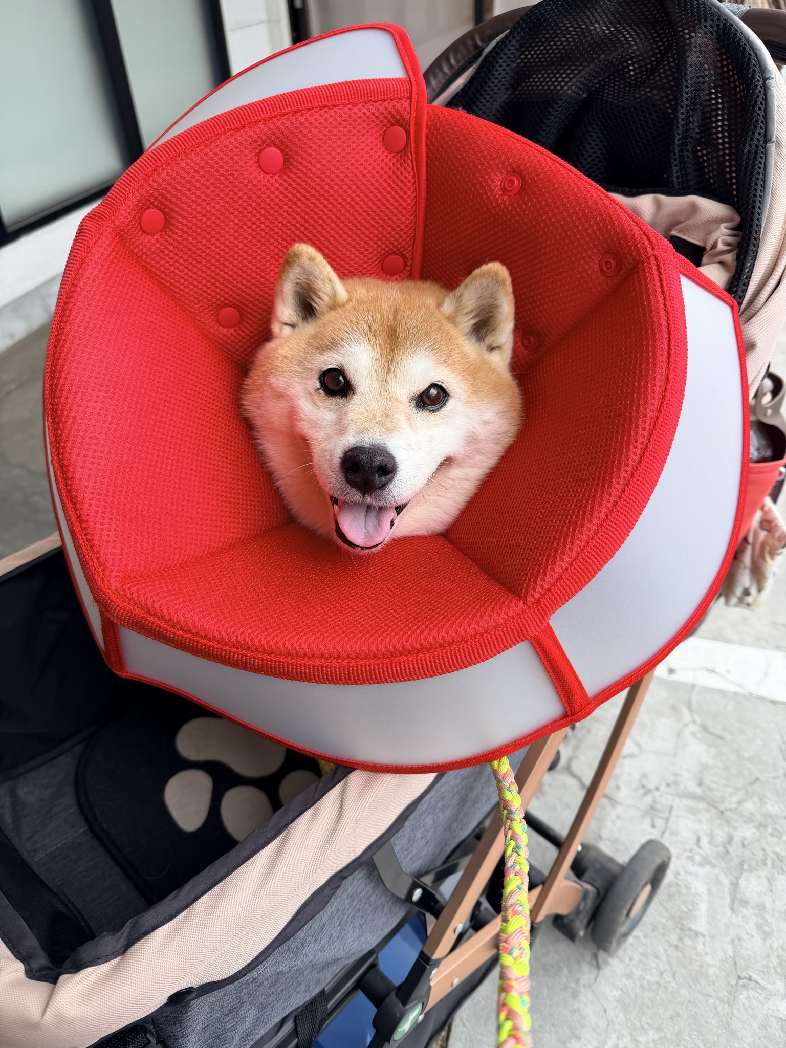 ハナ様　専用 ♡(☆プロフ見て下さいね☆)プティニュイ様専用♡