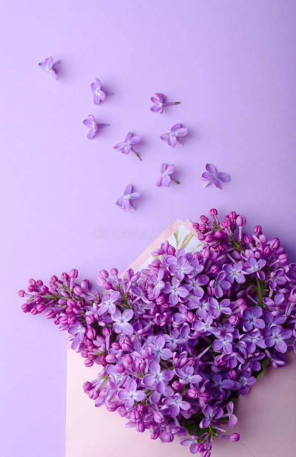 ingridmartz40's tweet photo. HOY VENGO DE LILA 💜💜💜 https://t.co/soMyROHusW