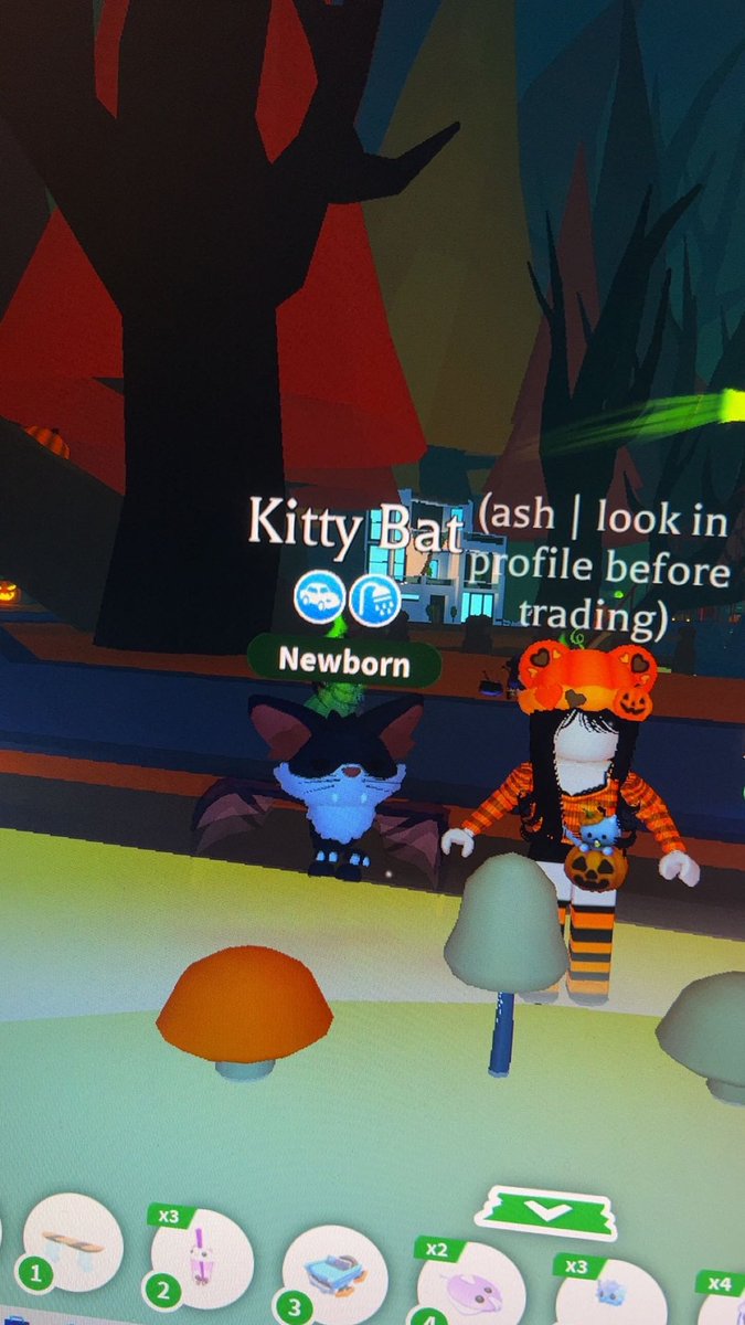 ash_dragon17's tweet image. AHH I GOT MY FIRST KITTY BAT TOO it’s so dang cute #adoptme