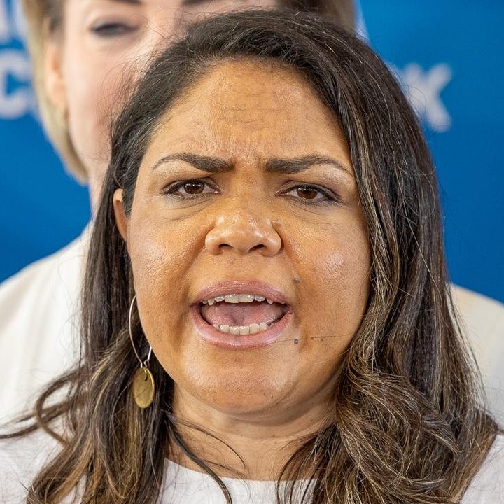 Peter Dutton blaming Andrew Hastie for the election loss is a denial of reality . Surely standing beside Jacinta Price at a presser as she went off on a MAGA fantasy might have had something to do with it.