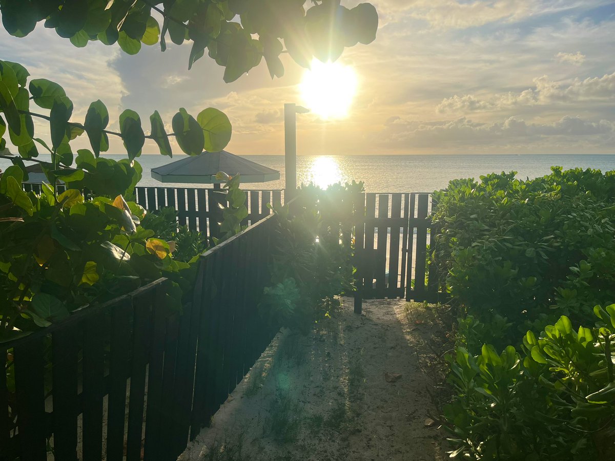 GregPetrus's tweet photo. Le vibrazioni di Antigua e dei Caraibi sono pura magia: il sole che bacia il mare, il vento caldo che sussurra tra le foglie, la luce dorata che trasforma ogni tramonto in un ricordo da custodire. Qui tutto rallenta, tutto respira. È un invito a vivere, a sentire, a ringraziare. https://t.co/htRvj1WDBu