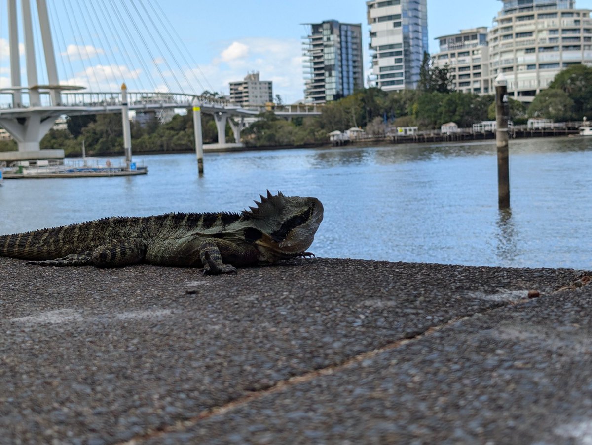 Rainy 🦇 tweet media