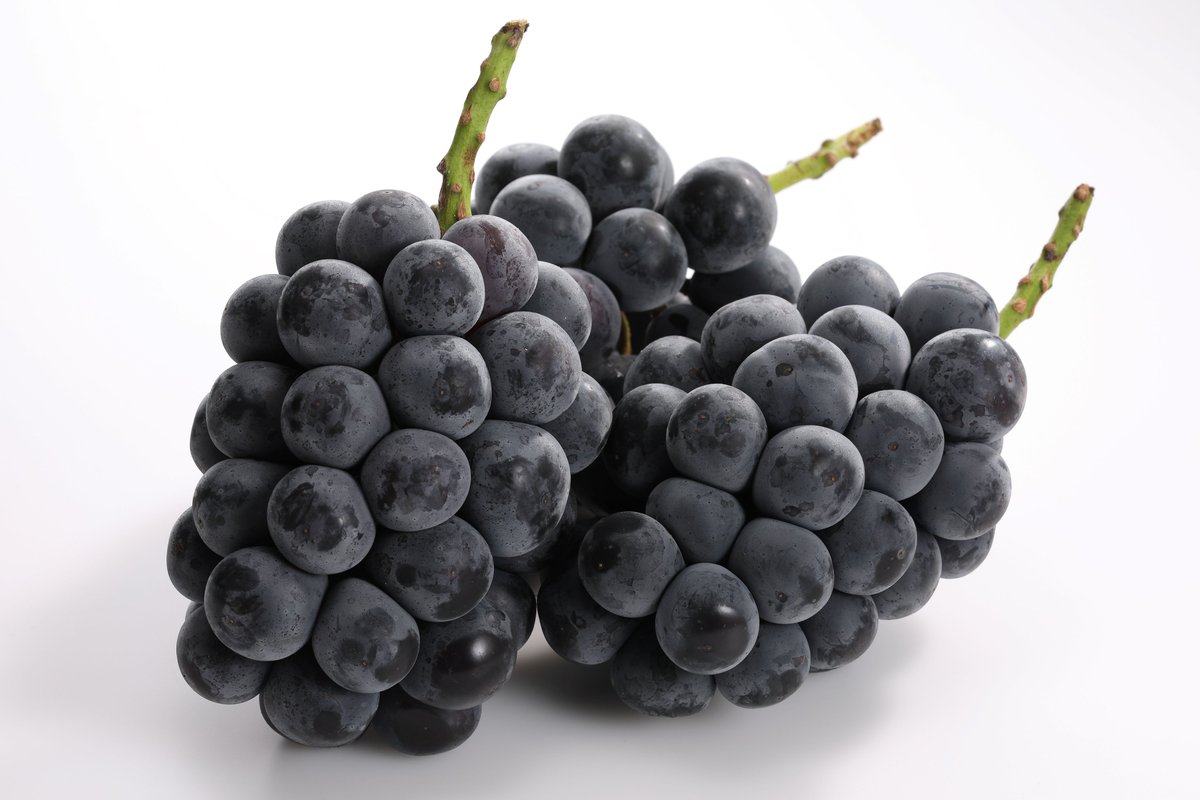 SweetsParadise_'s tweet image. ／
 🍇シャインマスカット・巨峰・アールスメロン食べ放題🍈
 ✨10/9（水）まで✨
 ＼
巨峰・アールスメロンの食べ放題がお楽しみいただけるのは
 「10/9（水）」まで🗓️
 
※シャインマスカットは今後も食べ放題予定🎉

詳細はこちら👇
sweets-paradise.jp/news/news_cat/…