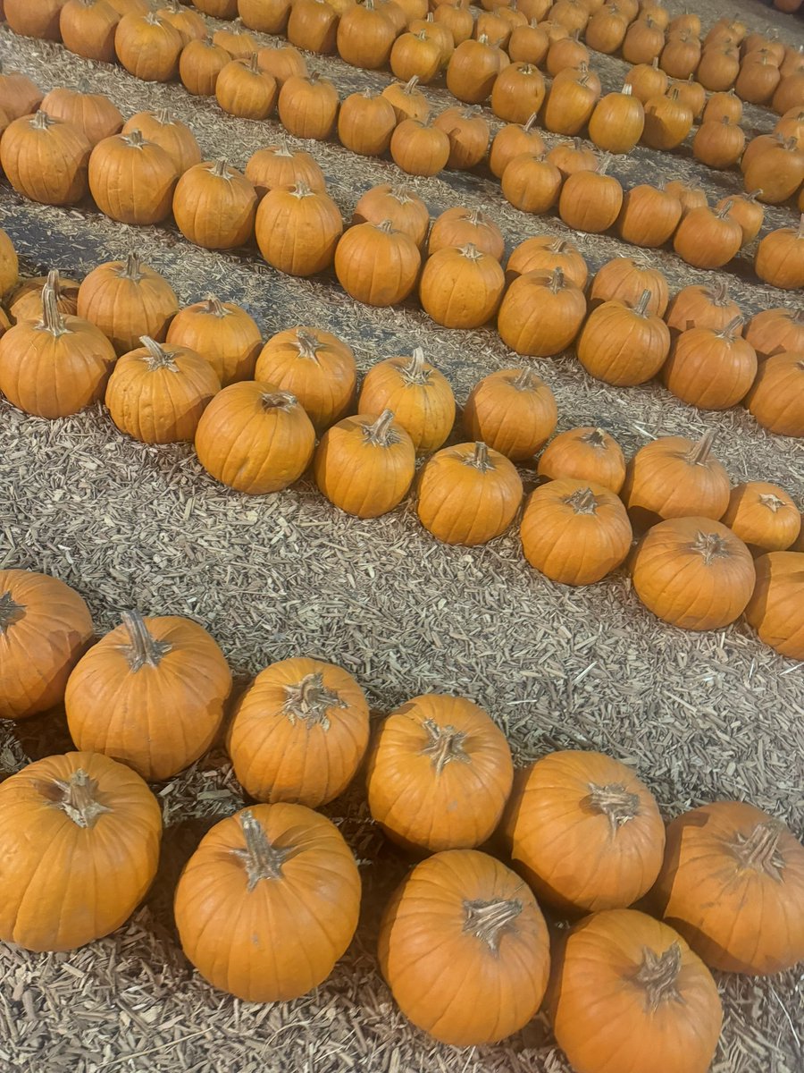 ary❤️‍🔥 tweet media