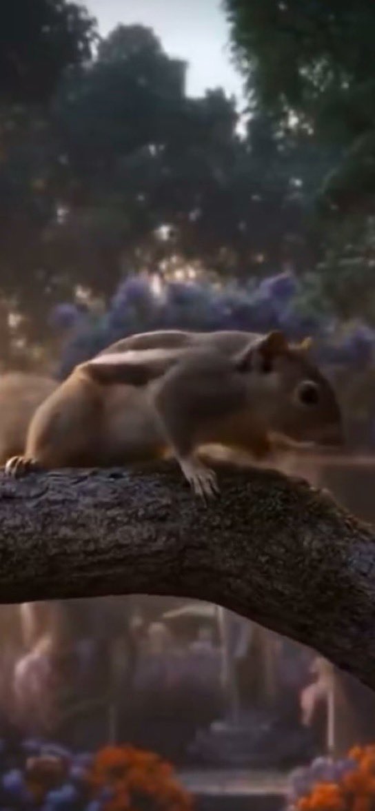 irina 🍃 | miami n1-n3 🤍 tweet media