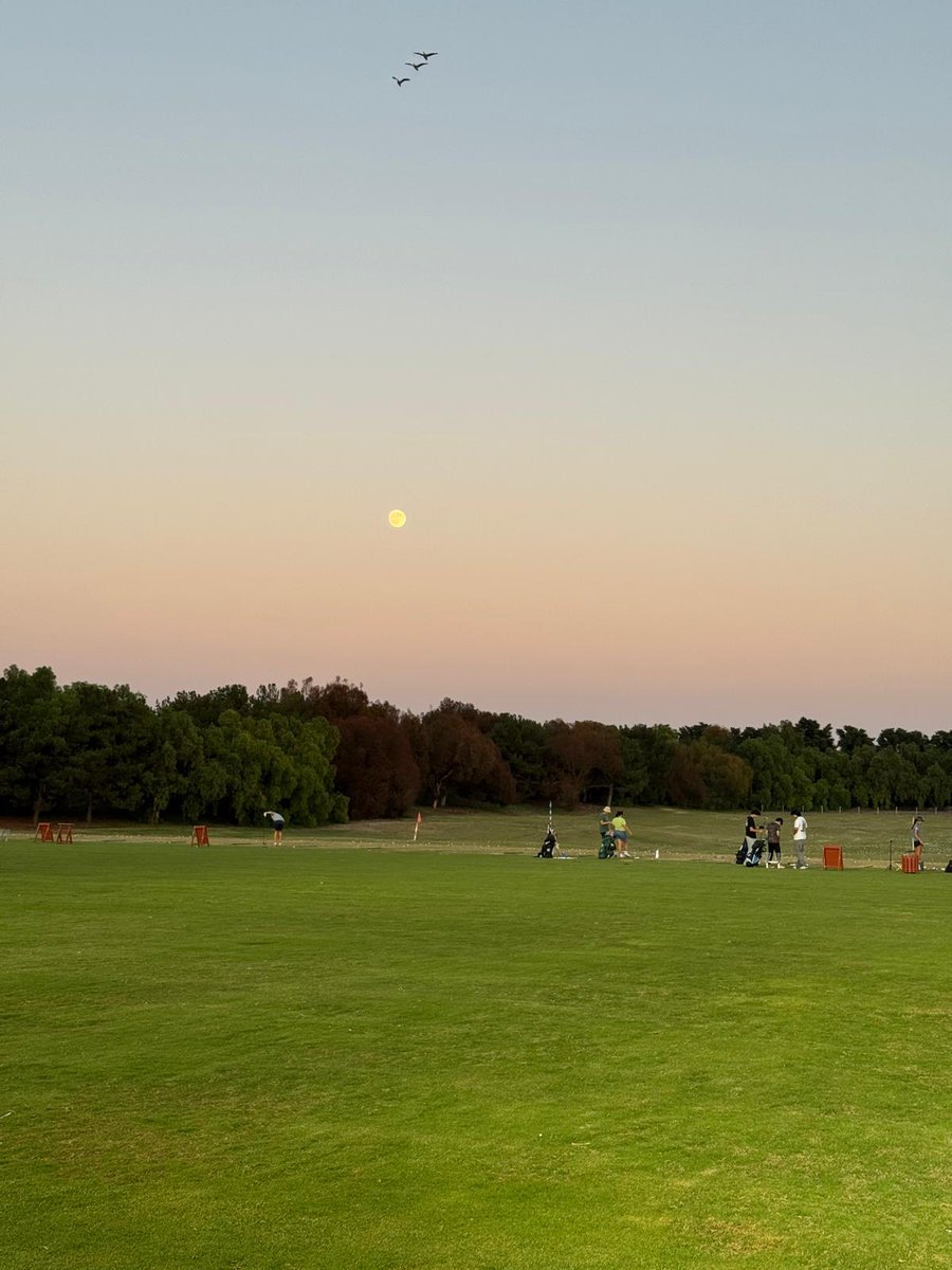 這次是看滿月，還是看價格行為呢？
貼一下你那邊的滿月。