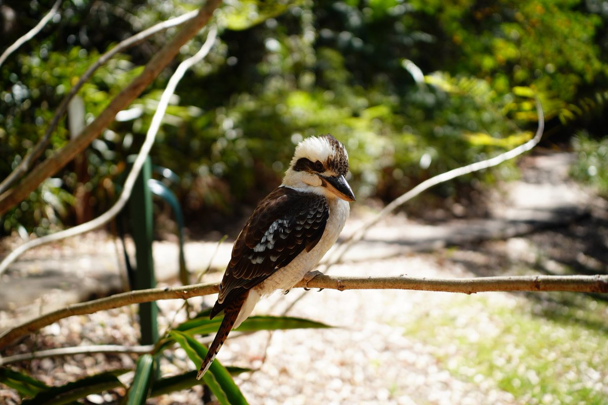 Rainy 🦇 tweet media