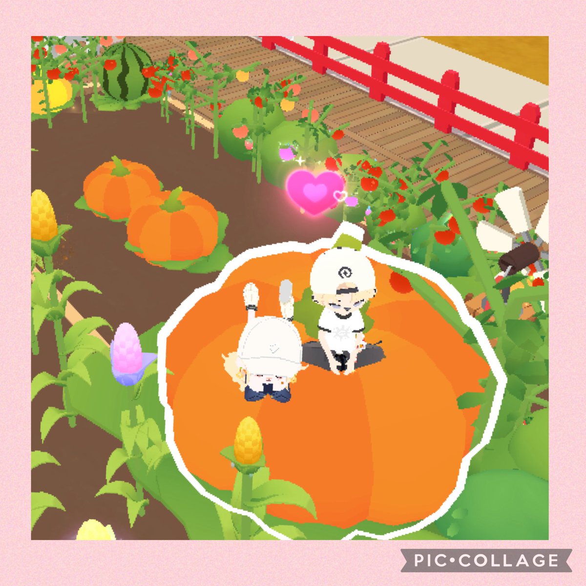 seina_na5's tweet photo. かぼちゃBIG誕生🎃👶🍼💞99kg月明かりとオーロラ綺麗𐔌՞⁔•͈ ·̫ •͈⁔՞𐦯⋆✩♡♡ https://t.co/ZHZINZ6z6a