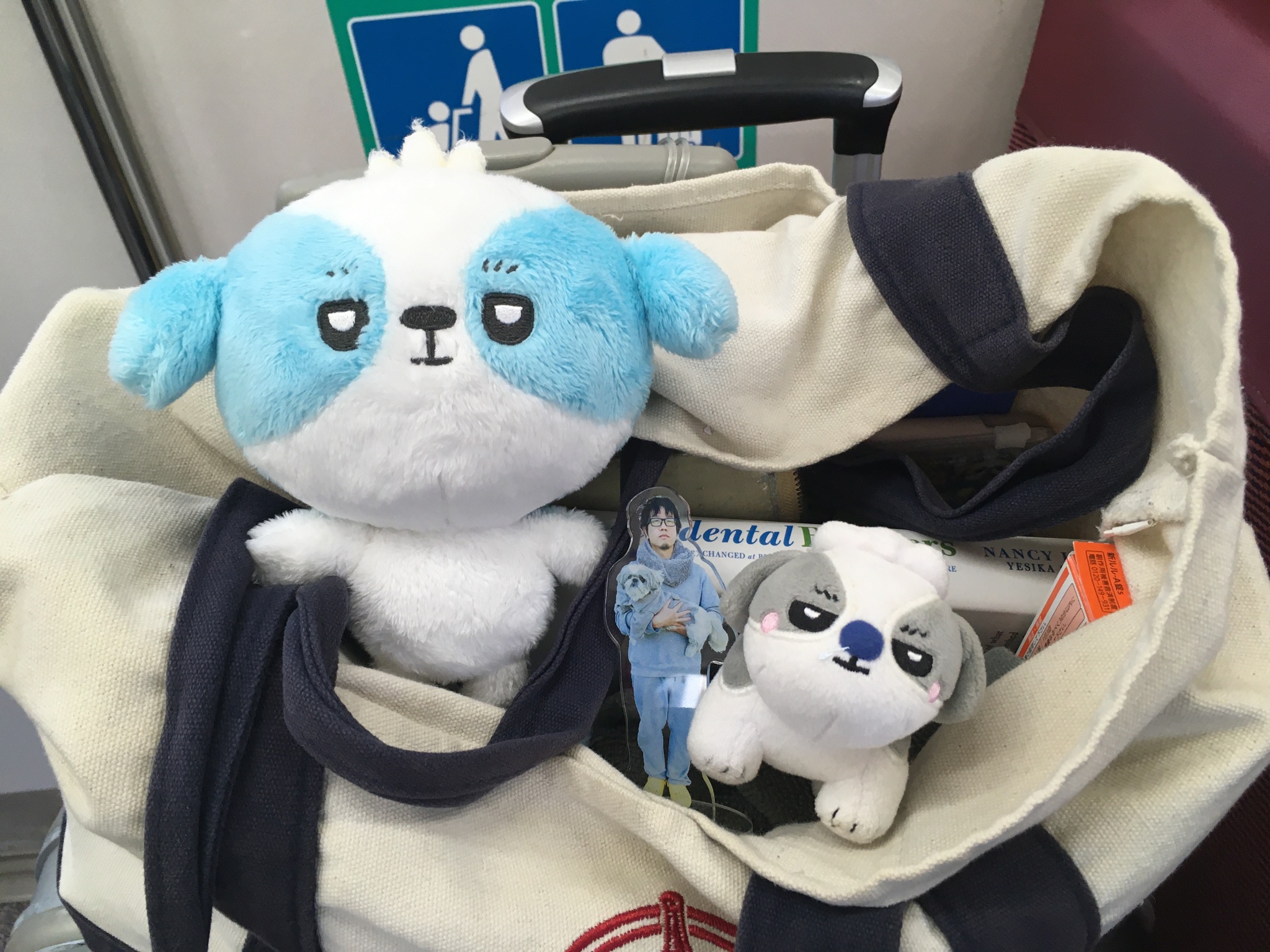 it-dogs スイートフラワーチュチュＳ AZONE INTERNATIONAL::えっくす☆きゅーと::商品詳細