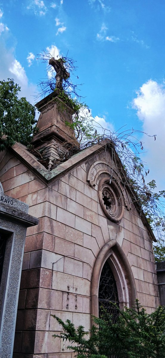 <a href="/cementeriogral/">Cementerio General de Recoleta</a>