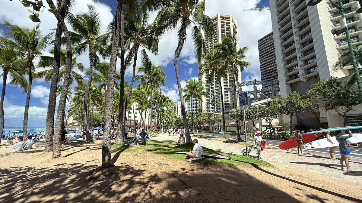 hawaii isla 808 tweet media