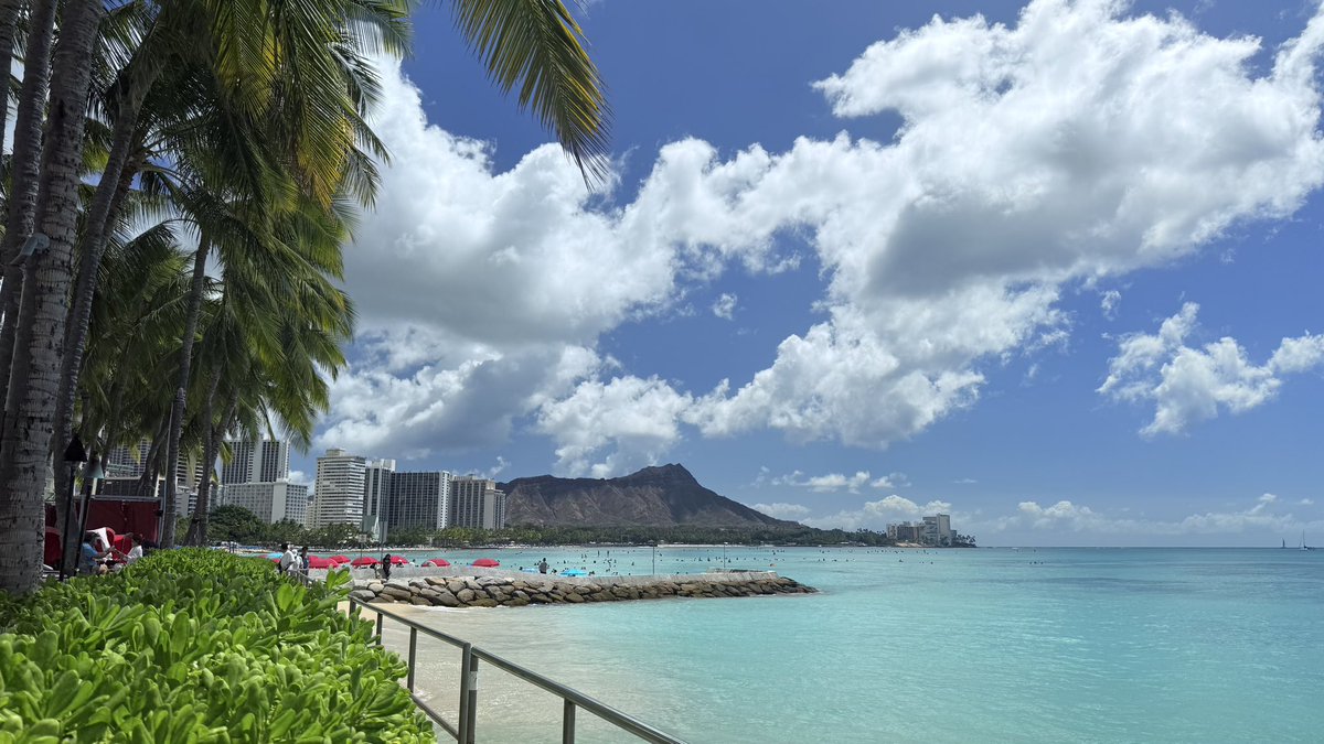 hawaii isla 808 tweet media