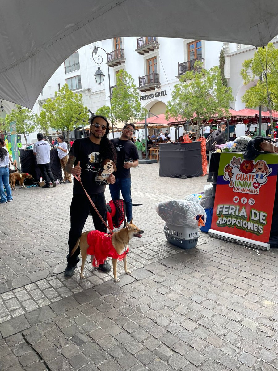 guatexanimales2's tweet image. Mil gracias a todos el equipo de voluntarios que apoyaron sábado y domingo y que gracias a todos su esfuerzo fue posible que diéramos en adopción 9 perritos 🐕🐕🐕 y una gatita Shikaira, todos recuperados castrados felices de haber encontrado un buen hogar 🏠
#voluntarios