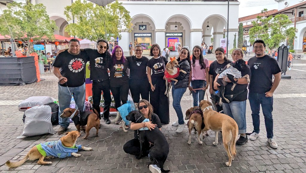 guatexanimales2's tweet image. Mil gracias a todos el equipo de voluntarios que apoyaron sábado y domingo y que gracias a todos su esfuerzo fue posible que diéramos en adopción 9 perritos 🐕🐕🐕 y una gatita Shikaira, todos recuperados castrados felices de haber encontrado un buen hogar 🏠
#voluntarios