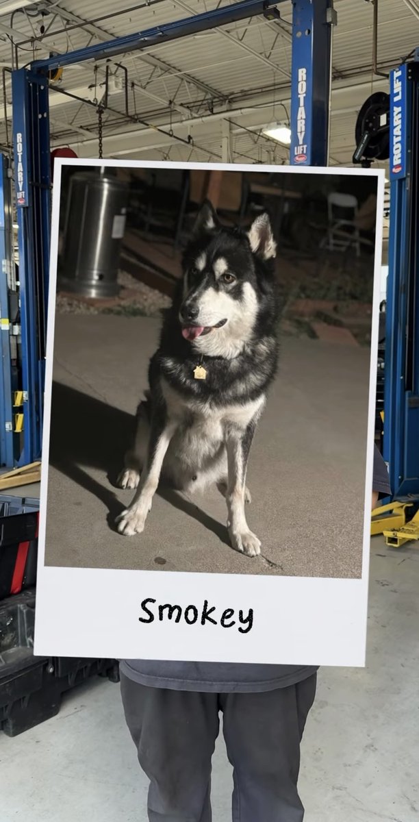 dogadogo2023's tweet image. Happy Mid-Autumn Festival from DGDG 🌕🐾
Tonight, the moon shines bright — a reminder that love, warmth, and togetherness are what truly connect us.
Wishing every pet and their humans a peaceful night under the same moon.

#DGDG #DOGADOGO #MidAutumnFestival #Petwear #FullMoon