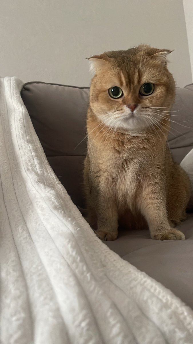 Пуп сестры. Ему мало что нраица, и много того, что не нраица.