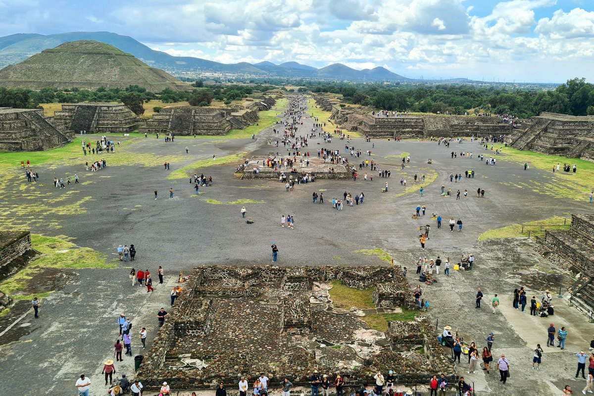 Sergio Manrique tweet media