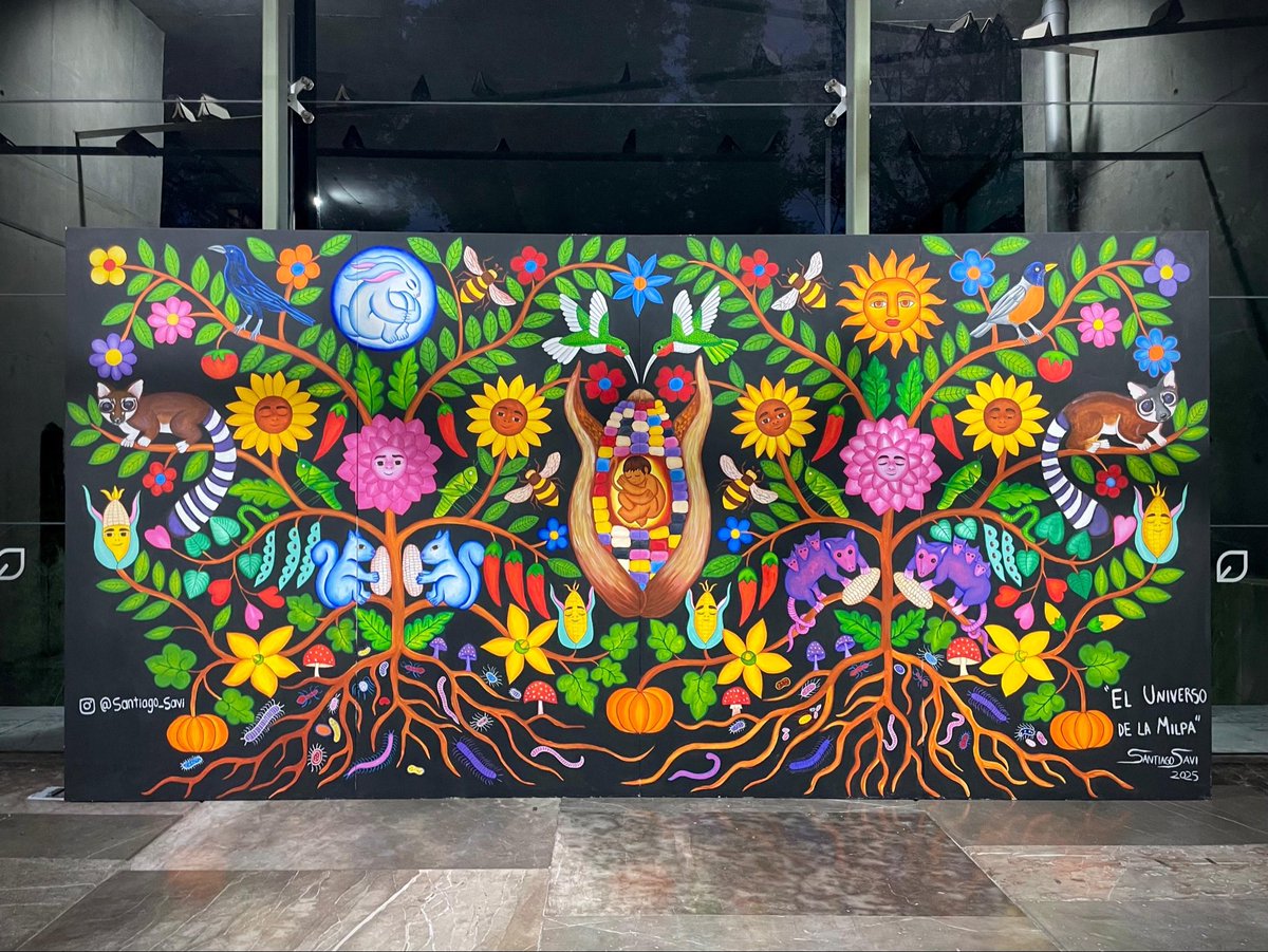 Somos semillas de maíz 
Y por donde pisamos crece la milpa…🌽🌸🍃

Mi mural de noche en La Biblioteca Vasconcelos de la CDMX. Recuerden que pueden visitarlo de lunes a domingo de 8:30-19:30 hrs. Entrada gratuita, ¿ya fueron a verlo???