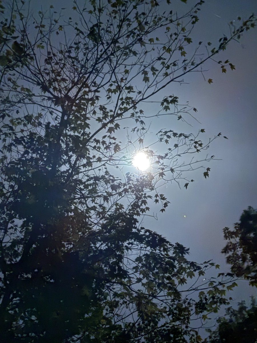 84 high west central indiana with harvest moon and visible Saturn <a href="/SeanAshWX/">Sean Ash</a> <a href="/NWSIndianapolis/">NWS Indianapolis</a>