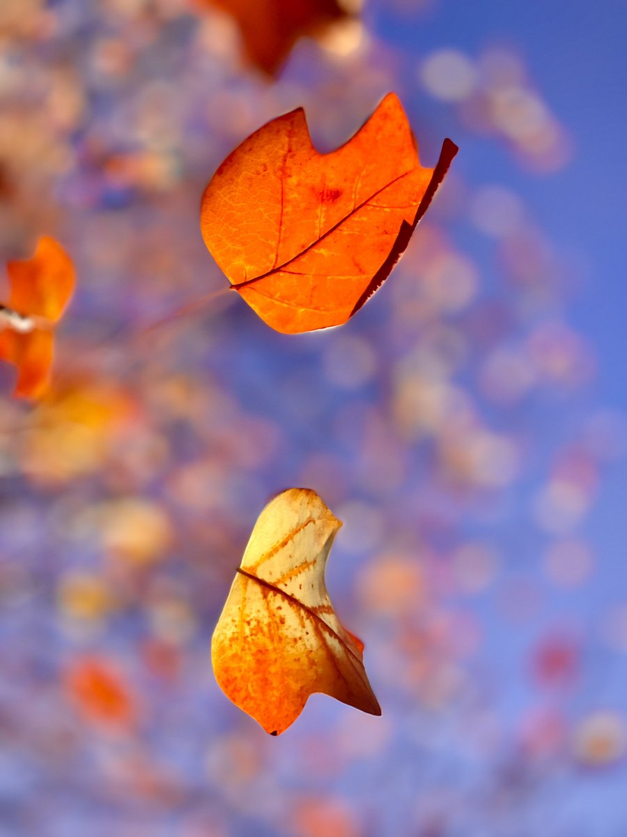 milesaway25's tweet image. #silence #milesaway #milesaway25