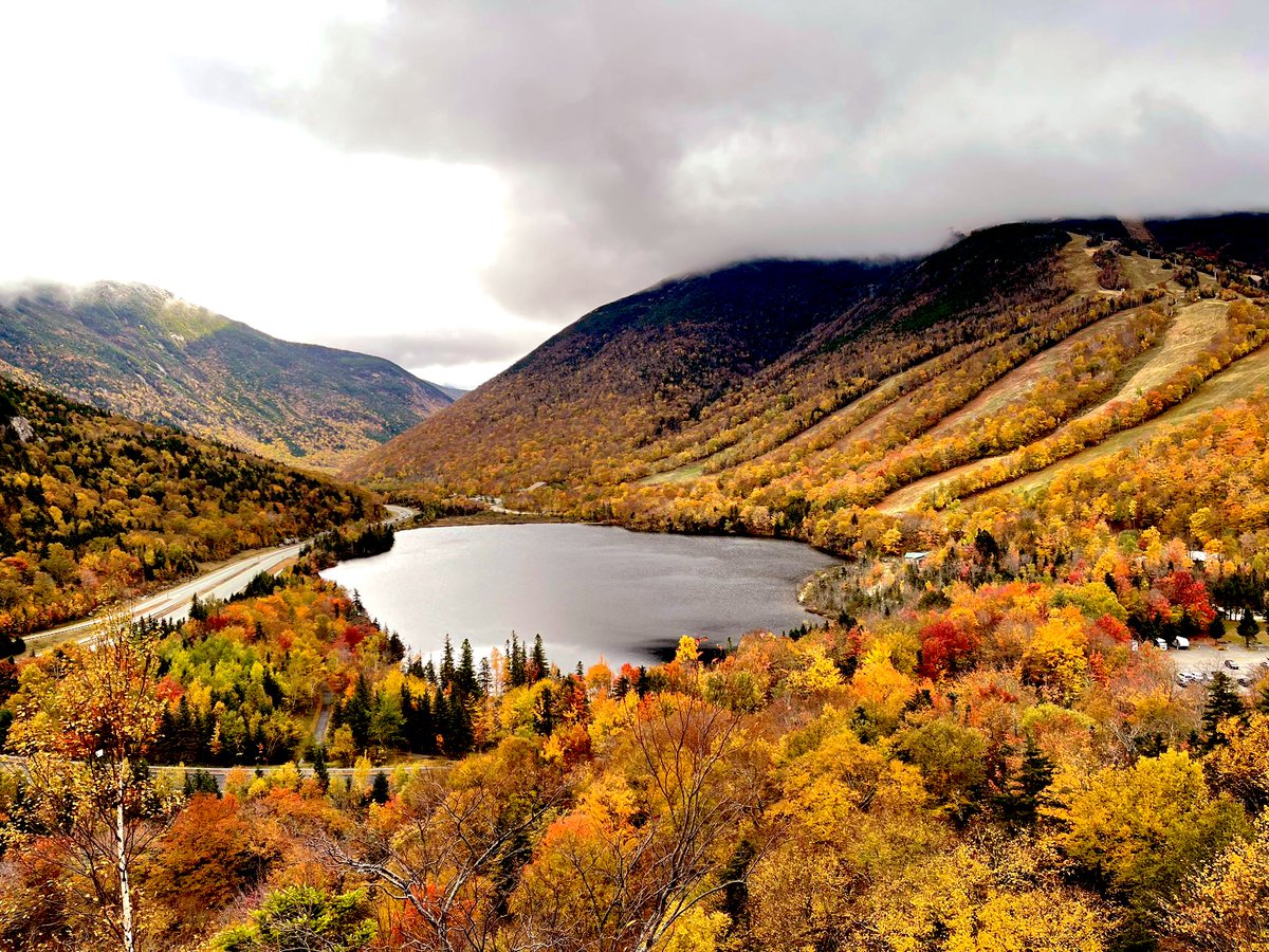 milesaway25's tweet image. #silence #milesaway #milesaway25