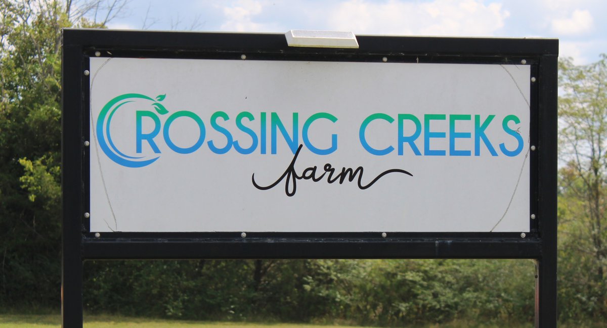 nyfea36120's tweet photo. A family farm w/ agribusiness, cattle, tourism, hogs, a farm store... Crossing Creeks has a great story! Young farmers, 4H, FFA, NYFEA members and friends will be inspired by this family. #nyfeainstitute25 Signup now at https://t.co/ZanEy0nRVb for Nashville Institute Dec 10-13. https://t.co/DErk1sl5DH