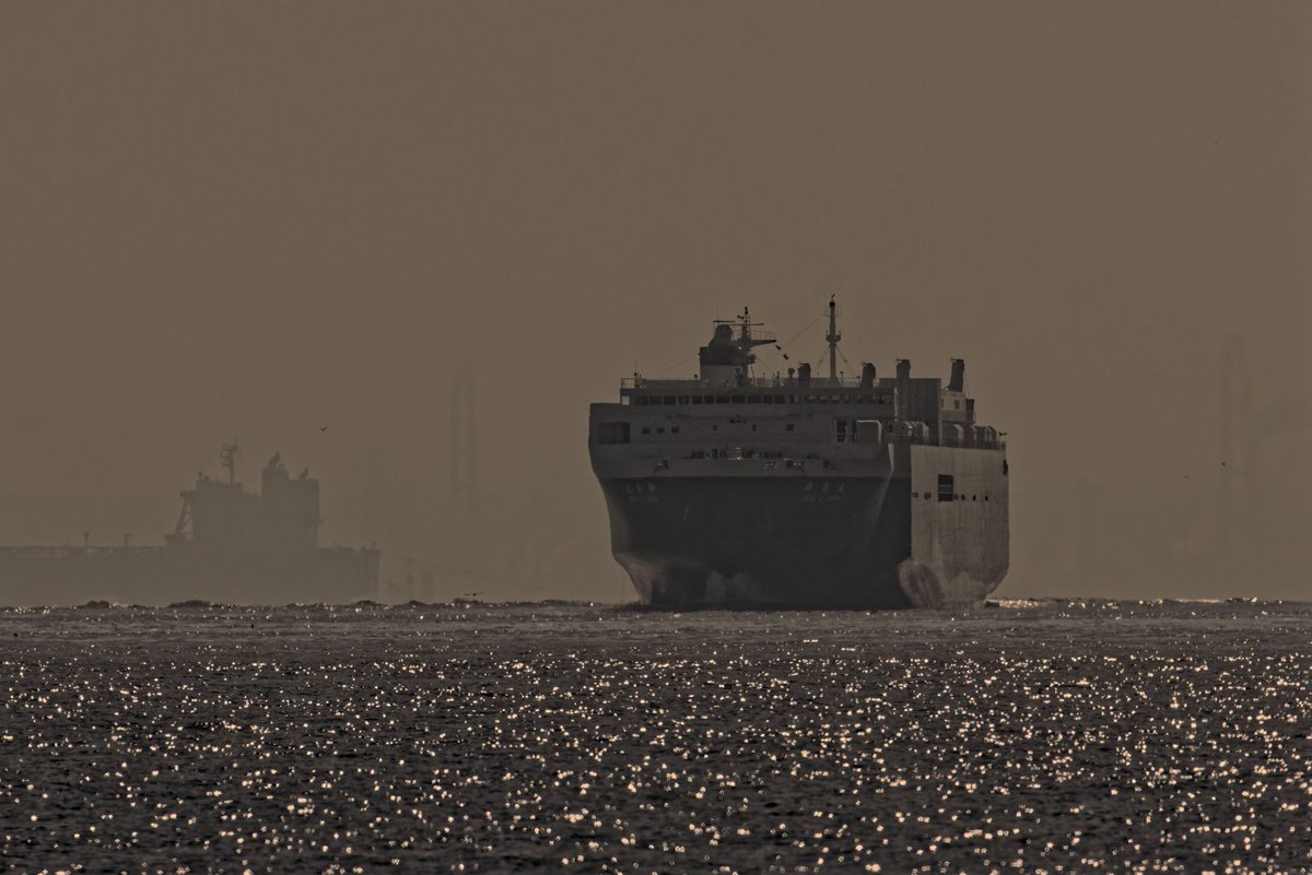 demerara_151's tweet image. #photography
#Tokyobay