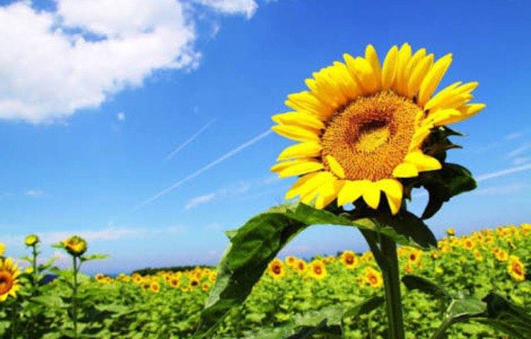 今日で35歳になりました！
日々変化していく日常の中で色々と噛み締めております。

日々感謝。

皆々様、いつも本当にありがとうございます！！！

今年1年も何卒よろしくお願いします。

産んでくれたお母さん。
今年もまた元気に誕生日を迎えれたよ！

ありがとう！